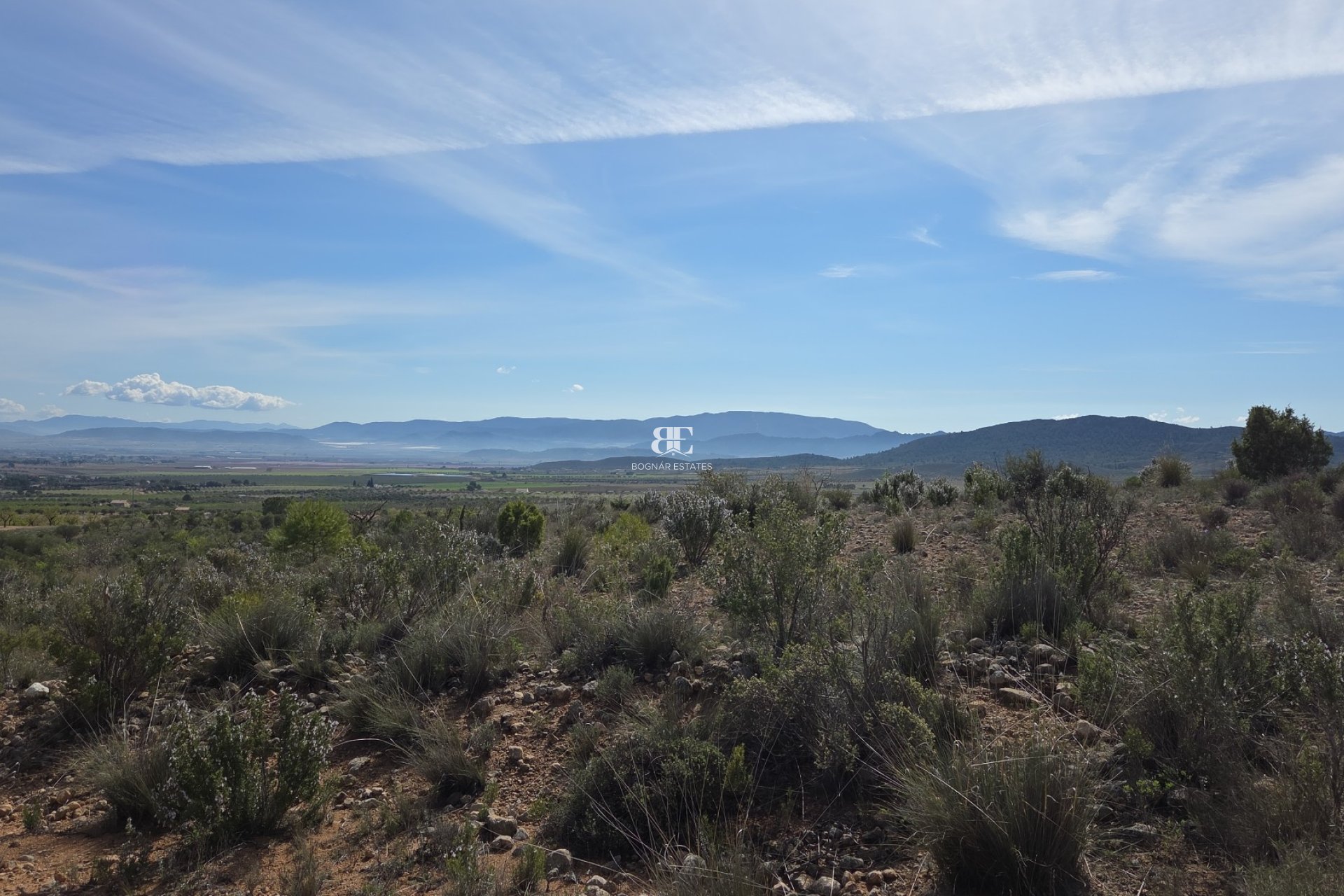 Wiederverkauf - Land -
Yecla