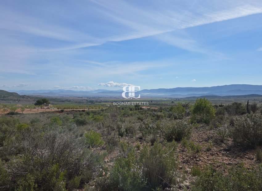 Wiederverkauf - Land -
Yecla