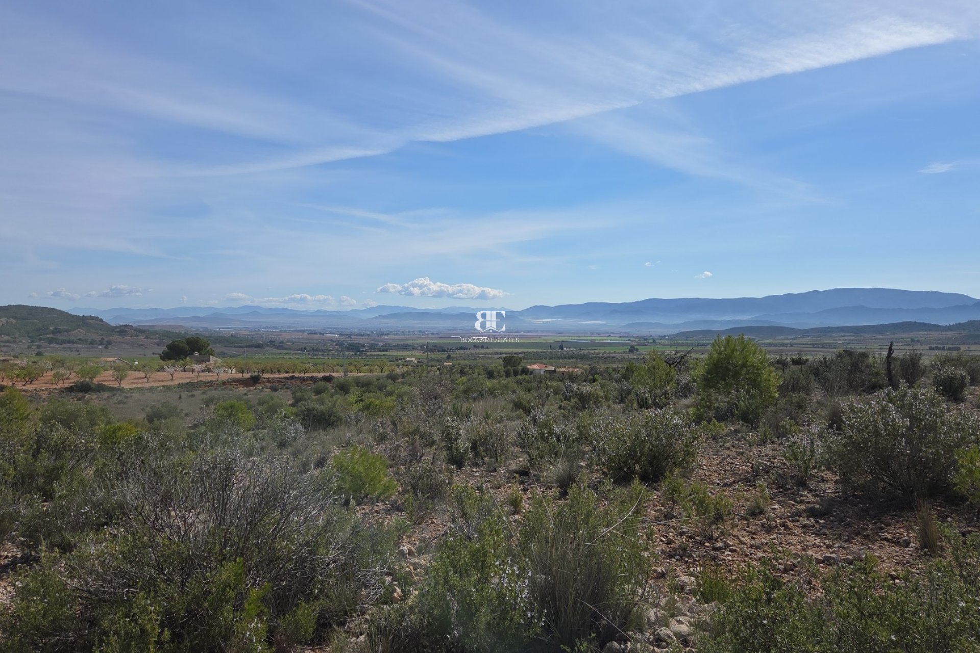 Wiederverkauf - Land -
Yecla