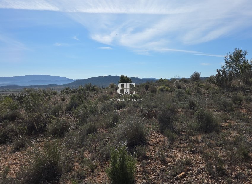 Wiederverkauf - Land -
Yecla