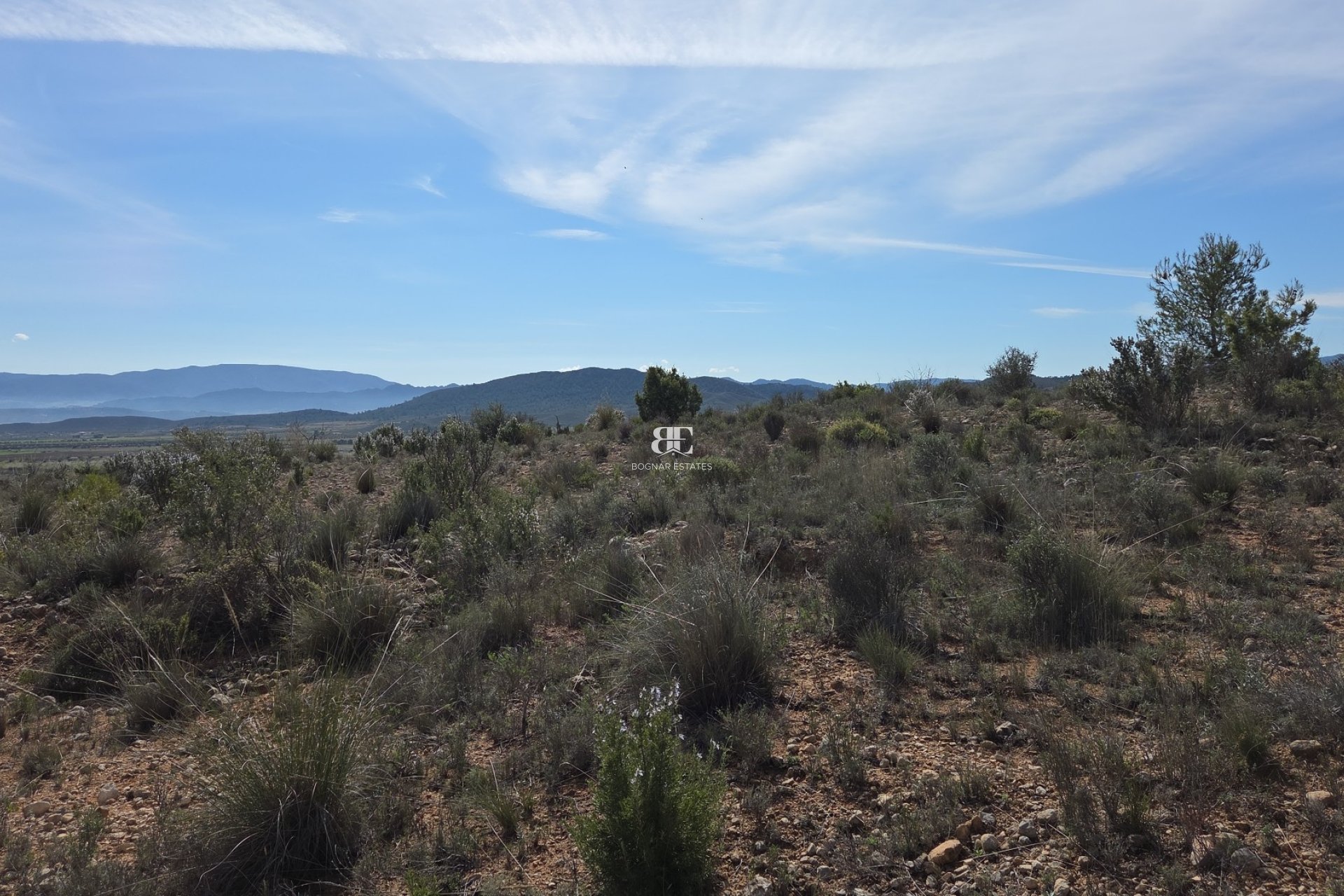 Wiederverkauf - Land -
Yecla