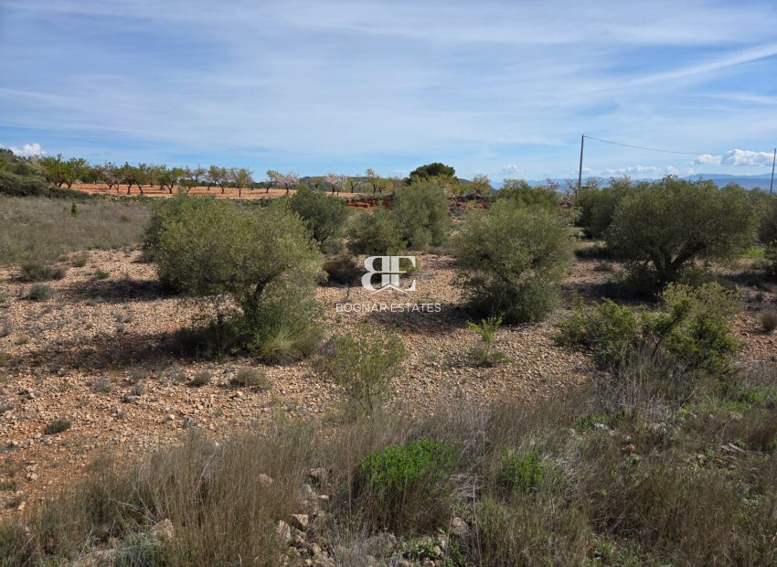 Wiederverkauf - Land -
Yecla