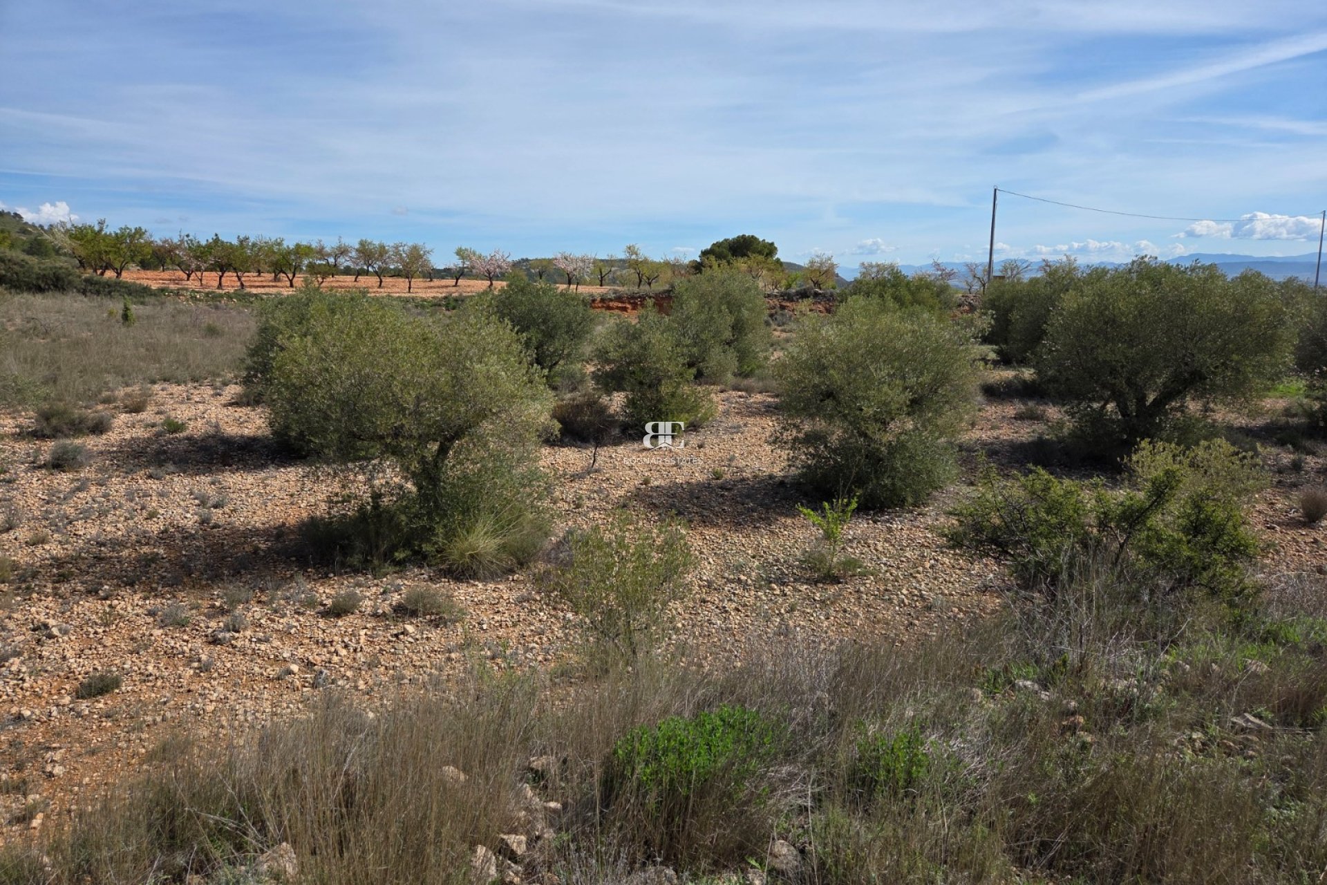 Wiederverkauf - Land -
Yecla