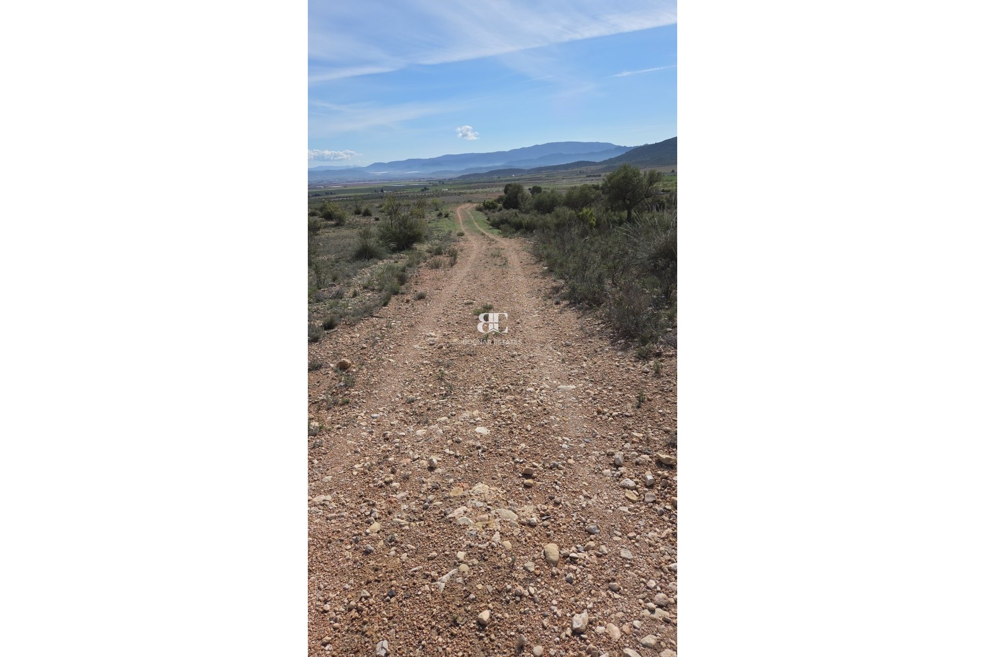 Wiederverkauf - Land -
Yecla