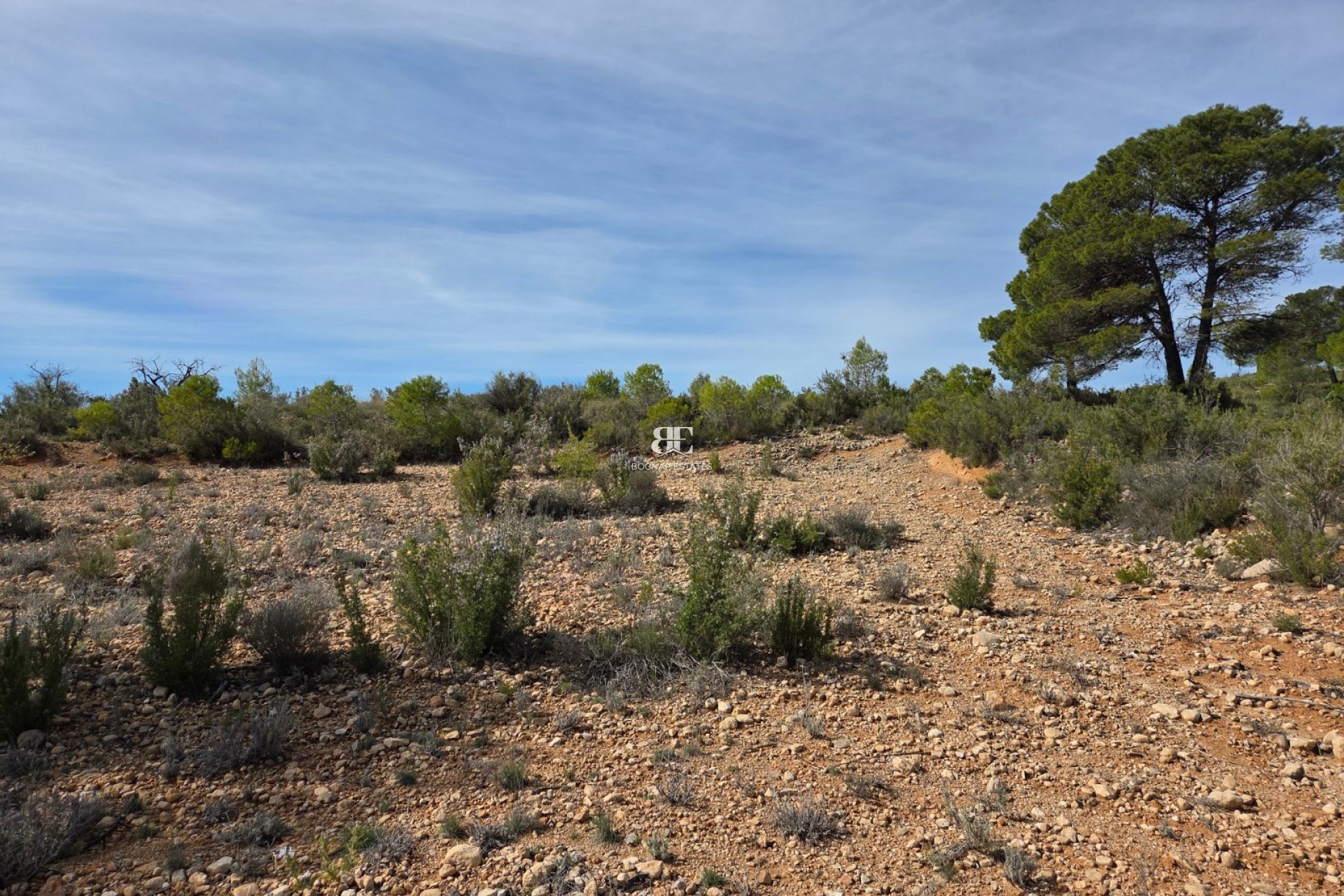 Wiederverkauf - Land -
Yecla