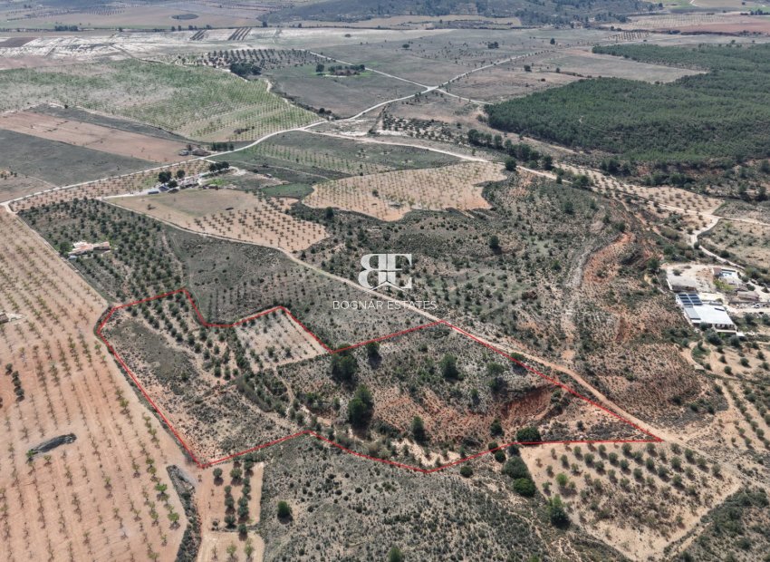 Wiederverkauf - Land -
Yecla