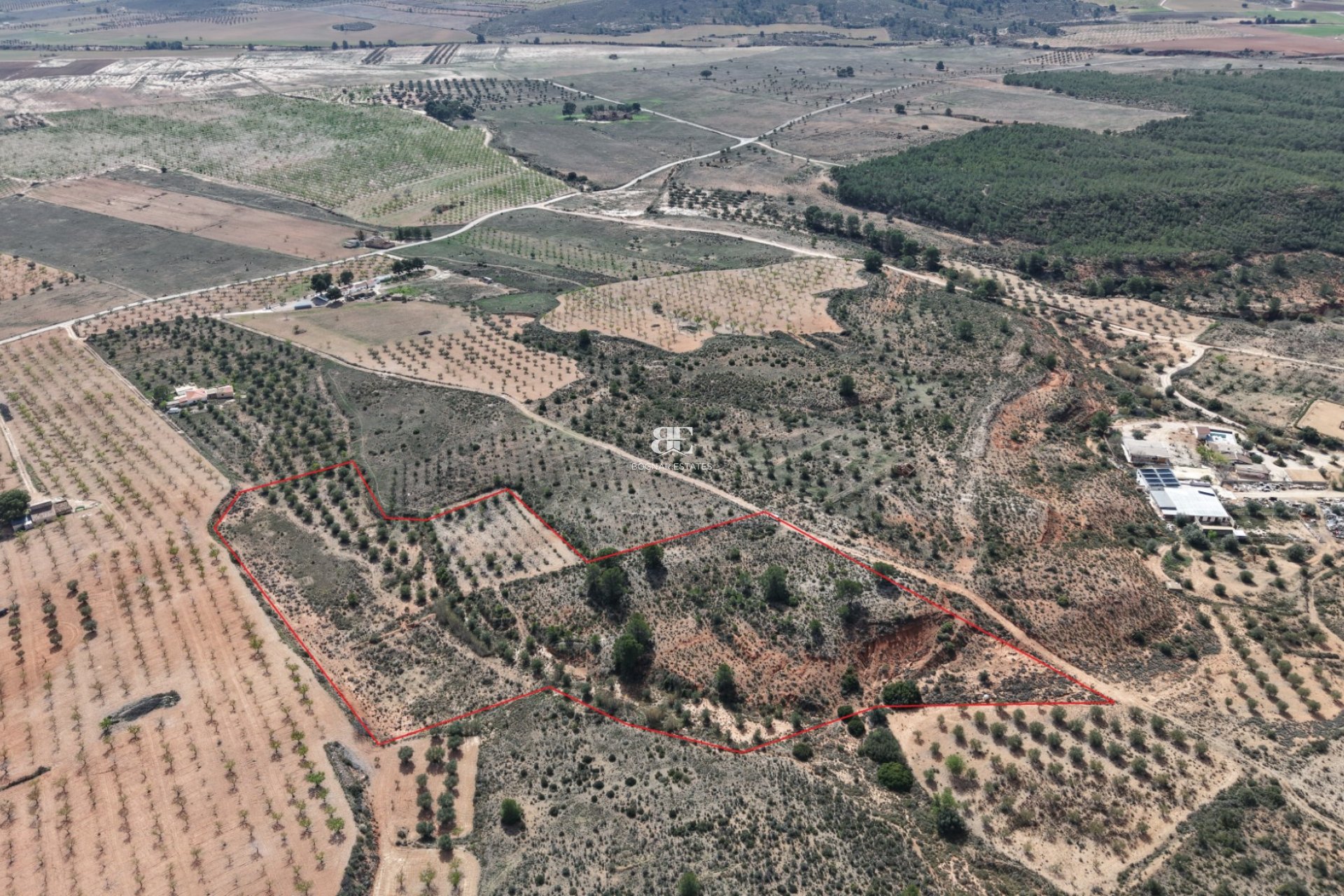 Wiederverkauf - Land -
Yecla