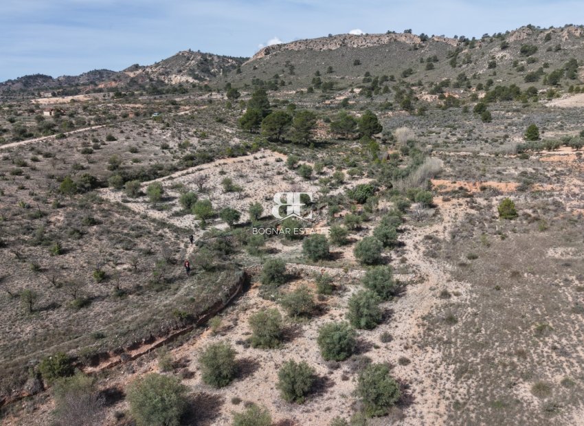 Wiederverkauf - Land -
Yecla