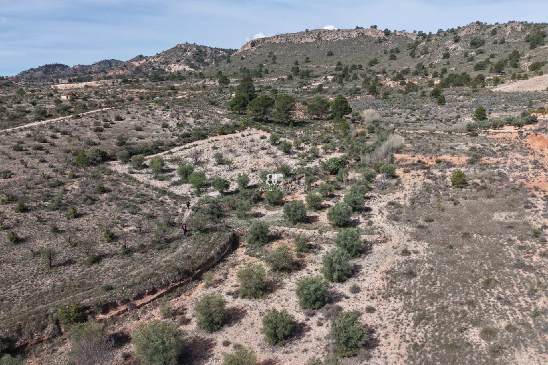 Wiederverkauf - Land -
Yecla