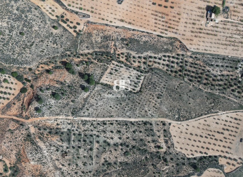 Wiederverkauf - Land -
Yecla