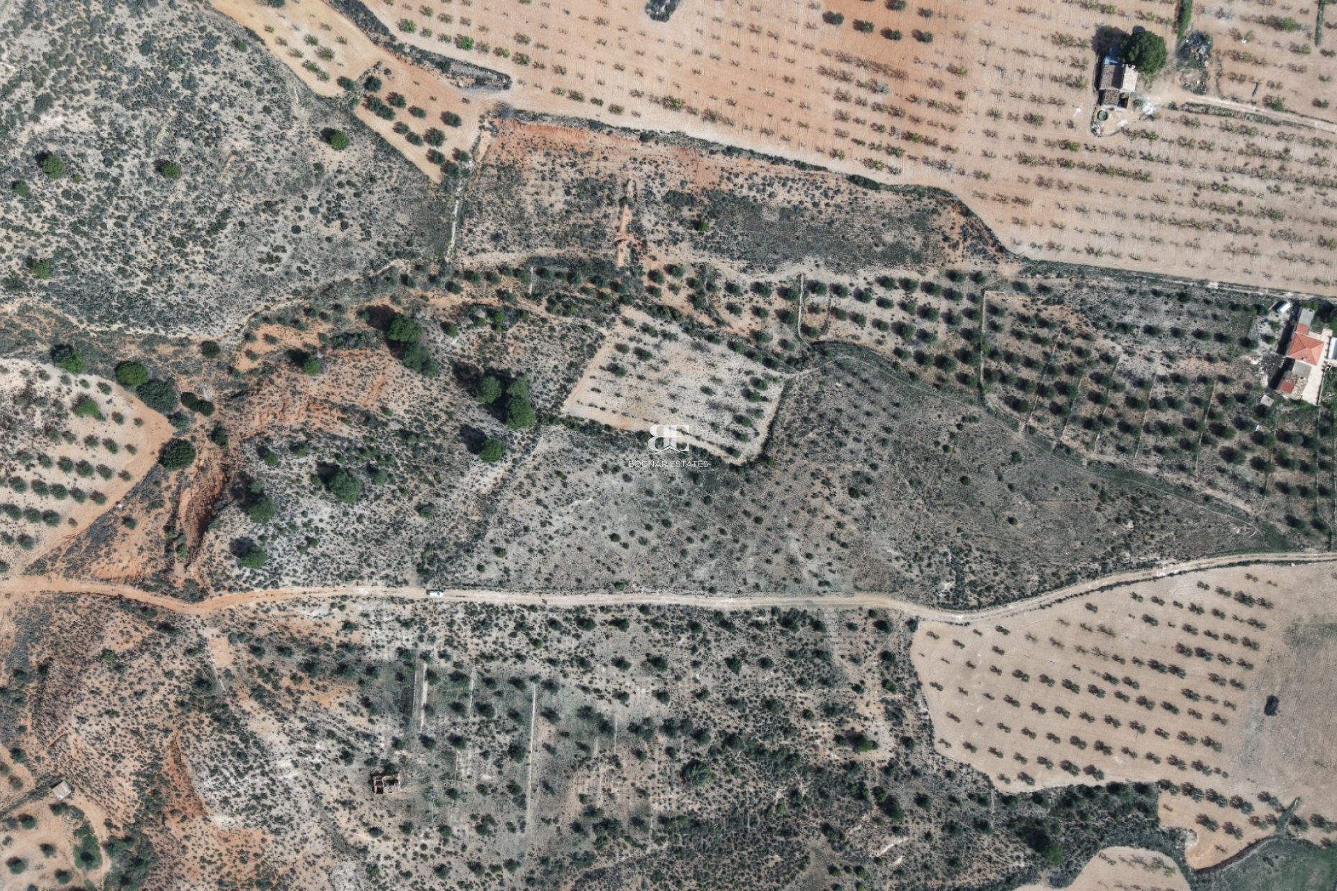 Wiederverkauf - Land -
Yecla