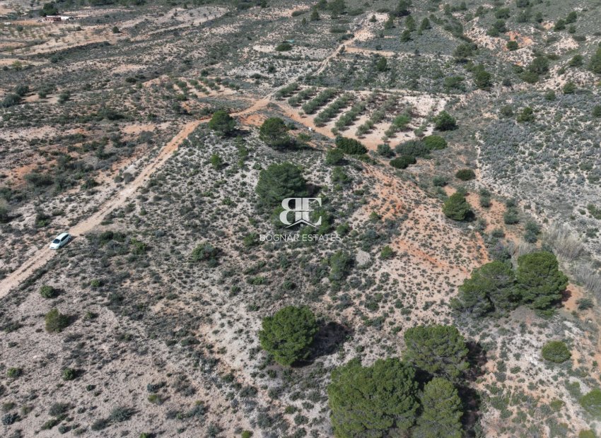 Wiederverkauf - Land -
Yecla