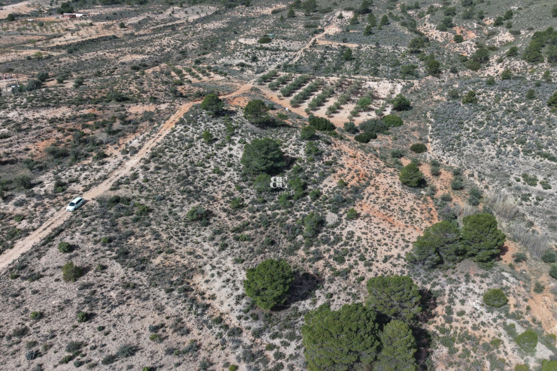 Wiederverkauf - Land -
Yecla