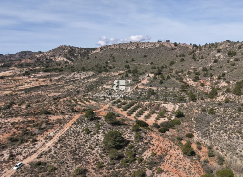 Wiederverkauf - Land -
Yecla