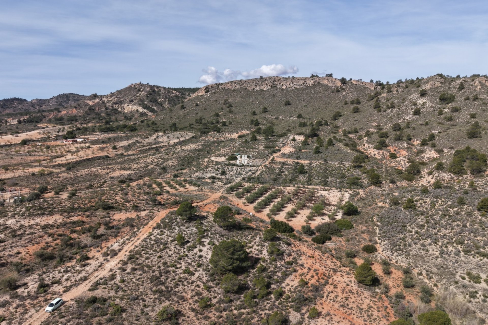 Wiederverkauf - Land -
Yecla