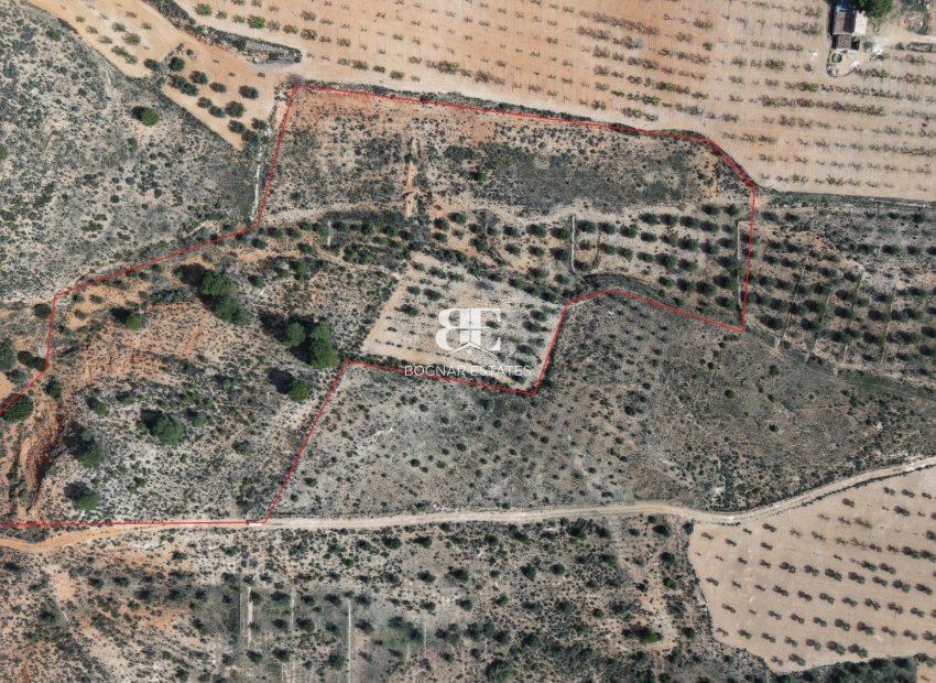 Wiederverkauf - Land -
Yecla