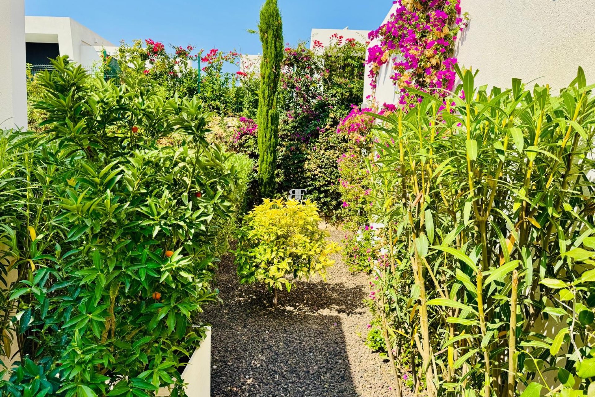 Wiederverkauf - Villa -
Algorfa - La finca Golf