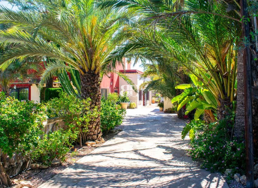 Wiederverkauf - Villa -
Elche - La Marina