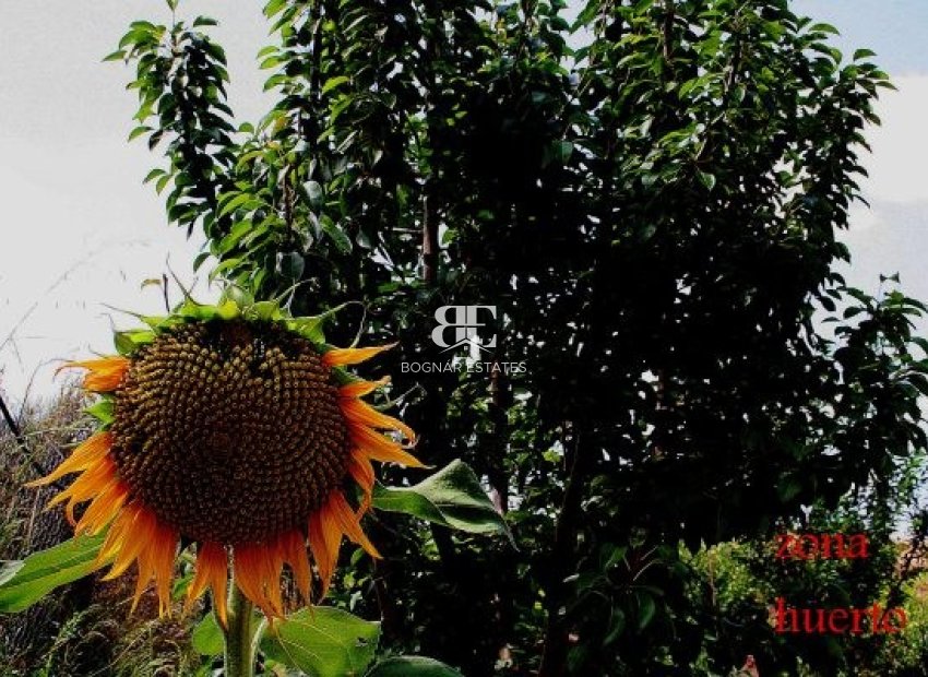 Wiederverkauf - Villa -
Gea Truyols - Gea y Trujols