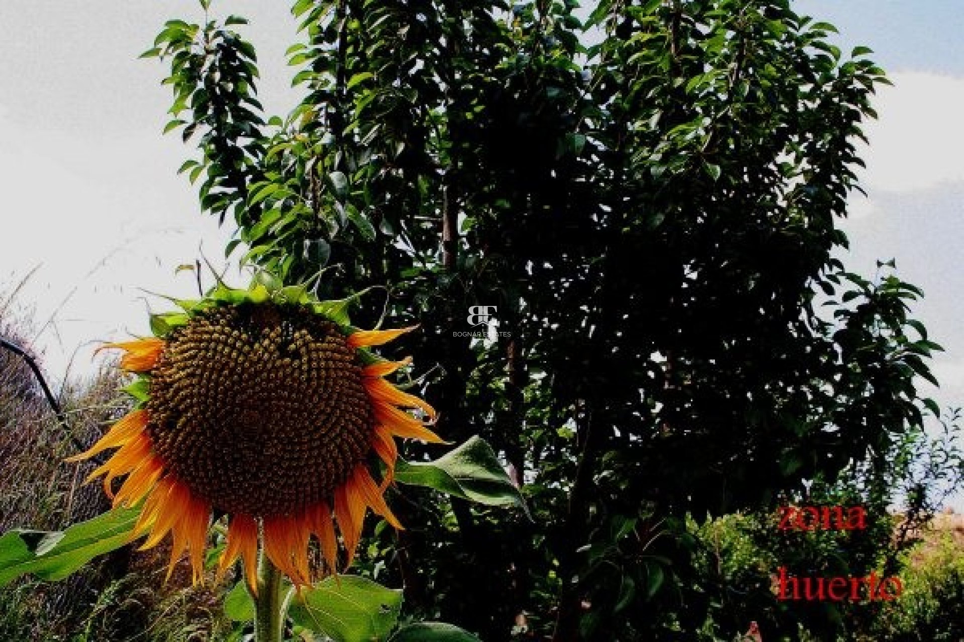 Wiederverkauf - Villa -
Gea Truyols - Gea y Trujols