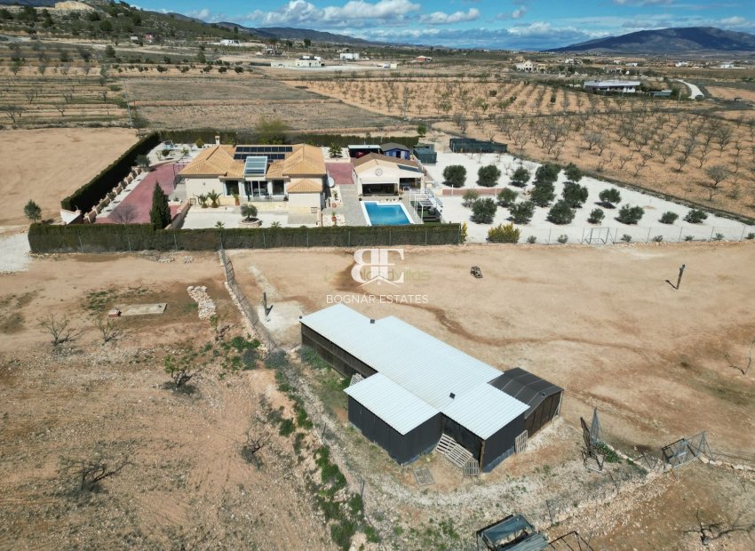 Wiederverkauf - Villa -
Pinoso