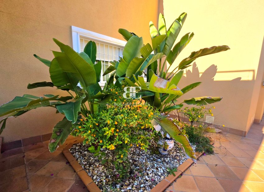 Wiederverkauf - Villa -
Torrevieja - Cabo Cervera