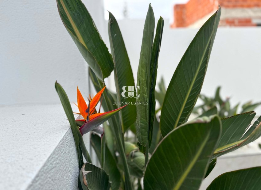 Wiederverkauf - Villa -
Torrevieja - Los Balcones - Los Altos del Edén