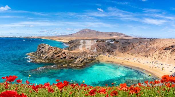 Essentiële gids voor het kopen van onroerend goed op Lanzarote in 2026