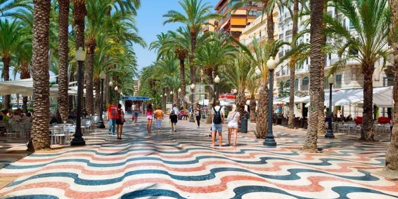 Koop een appartement in Alicante uw deskundige handleiding 2026