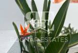 Wiederverkauf - Villa -
Torrevieja - Los Balcones - Los Altos del Edén