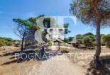 Herverkoop - apartment -
Guardamar del Segura - Pinomar