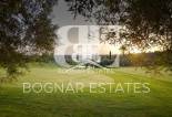 New Build - apartment -
Orihuela Costa
