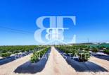 Resale - Country House -
San Miguel de Salinas
